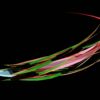 Video Animation Agency featured image
